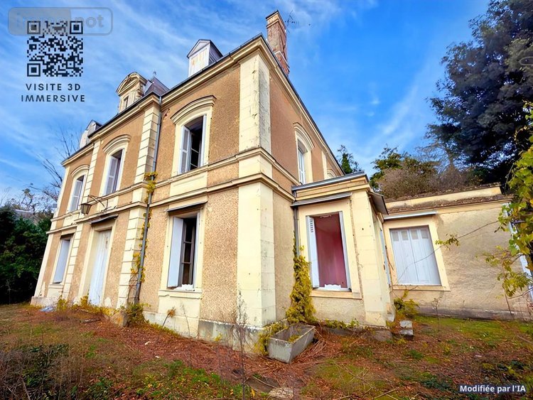 Maison a vendre Pocé-sur-Cisse 37530 Indre-et-Loire 300 m2 12 pièces 398250 euros