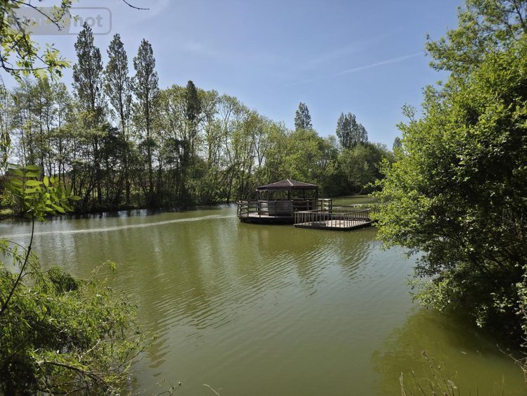 Terrains de loisirs bois etangs a vendre La Roche-Neuville 53200 Mayenne 31445 m2  95700 euros