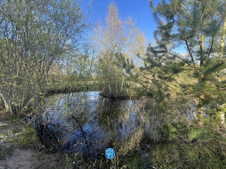 Maison a vendre Saint-Mars-la-Brière 72470 Sarthe 136 m2 4 pièces 236240 euros