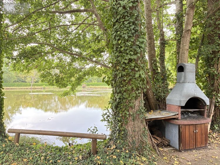 Terrains de loisirs bois etangs a vendre Brée 53150 Mayenne 8114 m2  69000 euros
