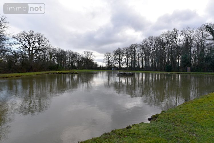Terrains de loisirs bois etangs a vendre Mézangers 53600 Mayenne 9160 m2  63000 euros