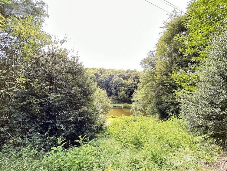 Maison a vendre Lizio 56460 Morbihan 260 m2  201900 euros