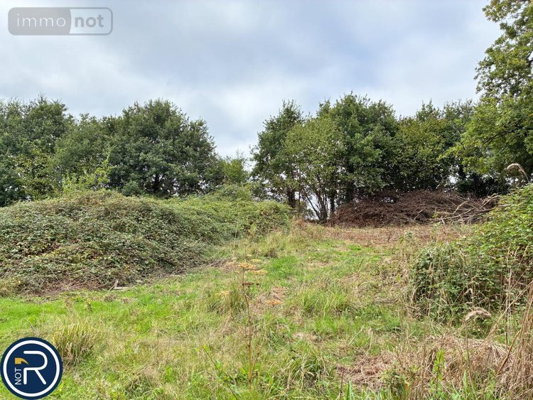 Terrains de loisirs bois etangs a vendre Montaudin 53220 Mayenne 2522 m2  13500 euros