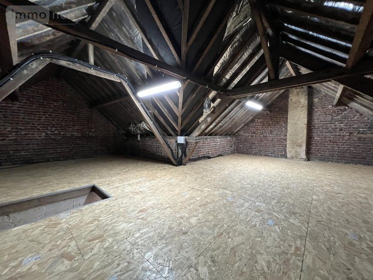 Immeuble a vendre Bourghelles 59830 Nord 162 m2  549000 euros