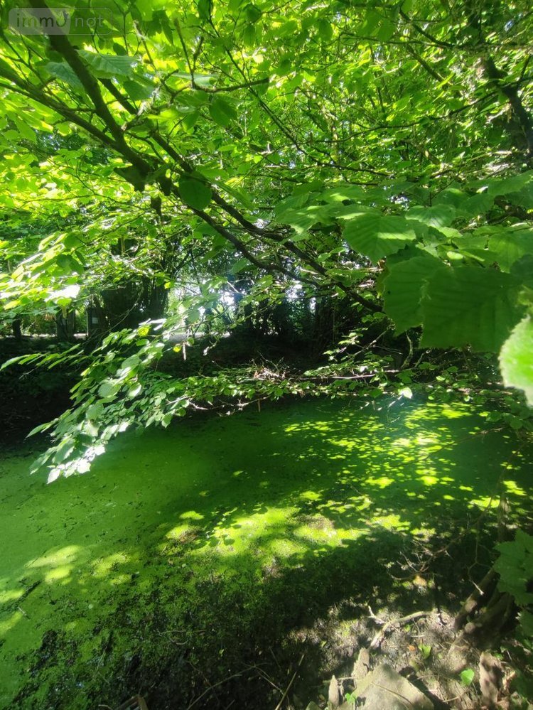 Maison a vendre Aire-sur-la-Lys 62120 Pas-de-Calais 110 m2 4 pièces 157000 euros