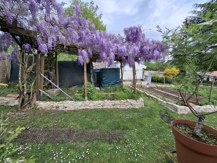 Maison a vendre Saint-Césaire 17770 Charente-Maritime 69 m2 3 pièces 173118 euros