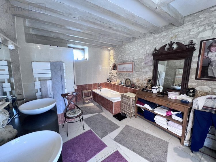 Maison a vendre Châtillon-sur-Cher 41130 Loir-et-Cher 385 m2 14 pièces 420000 euros