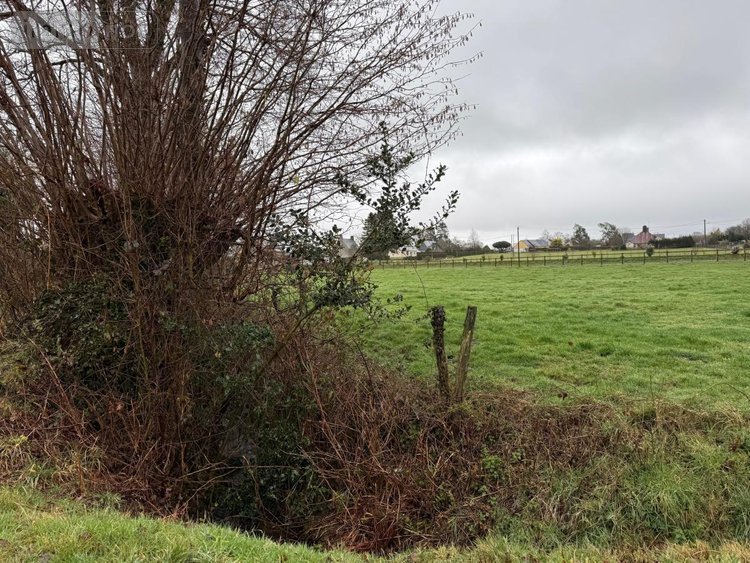 Terrains de loisirs bois etangs a vendre Saint-Aubin-des-Bois 14380 Calvados 76778 m2  82715 euros