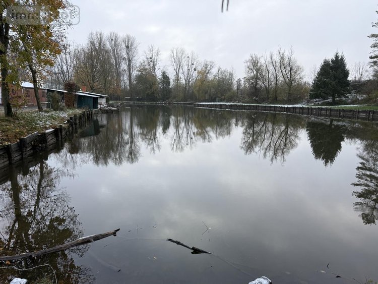 Divers a vendre Landrecies 59550 Nord 37698 m2  314400 euros