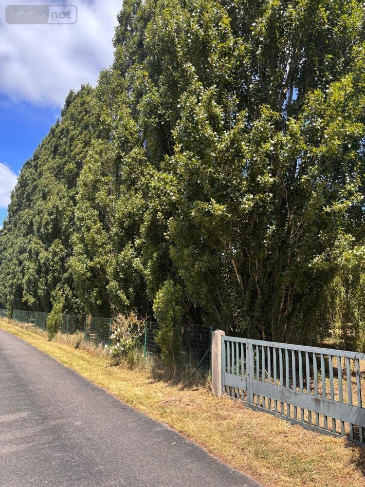 Terrain a batir a vendre Crouzilles 37220 Indre-et-Loire 2334 m2  33600 euros