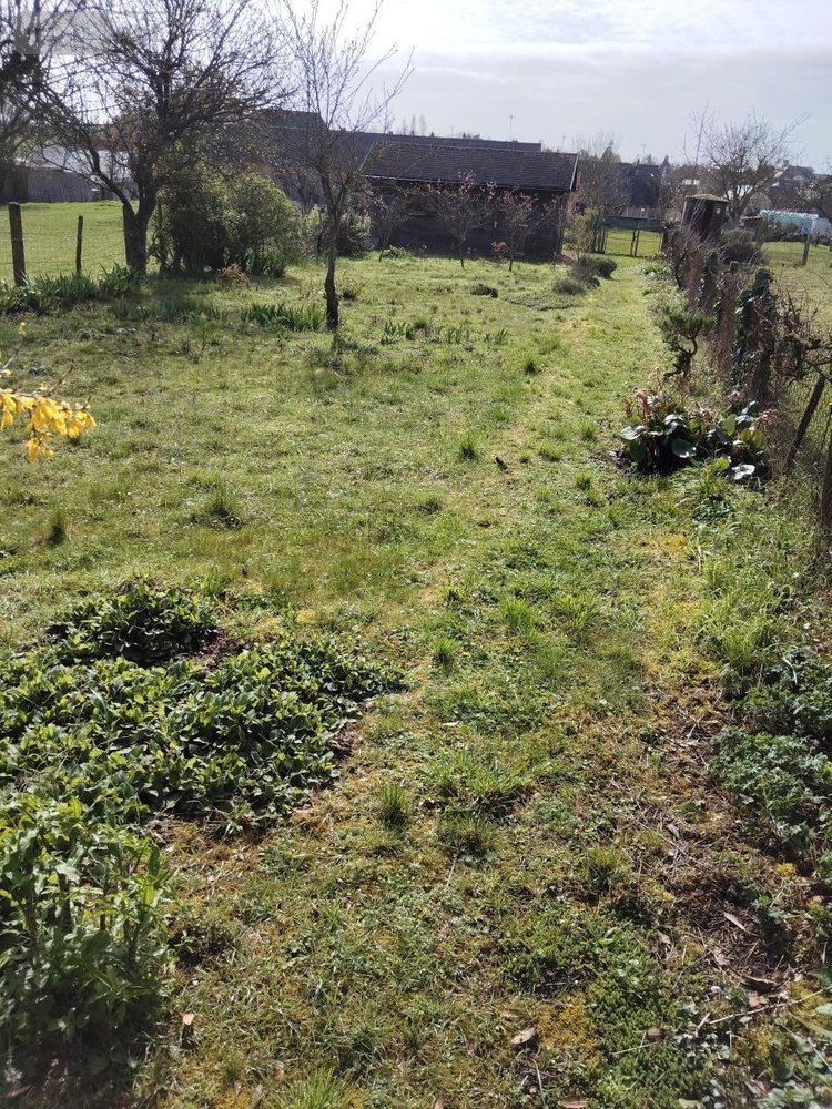 Maison a vendre Conlie 72240 Sarthe 45 m2  198280 euros