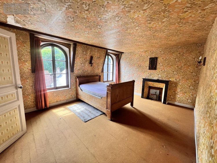 Maison a vendre Saint-Aignan 41110 Loir-et-Cher 475 m2 12 pièces 420000 euros