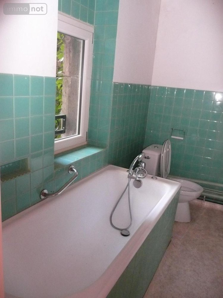 Location fonds et murs commerciaux Dole 39100 Jura 164 m2  1350 euros