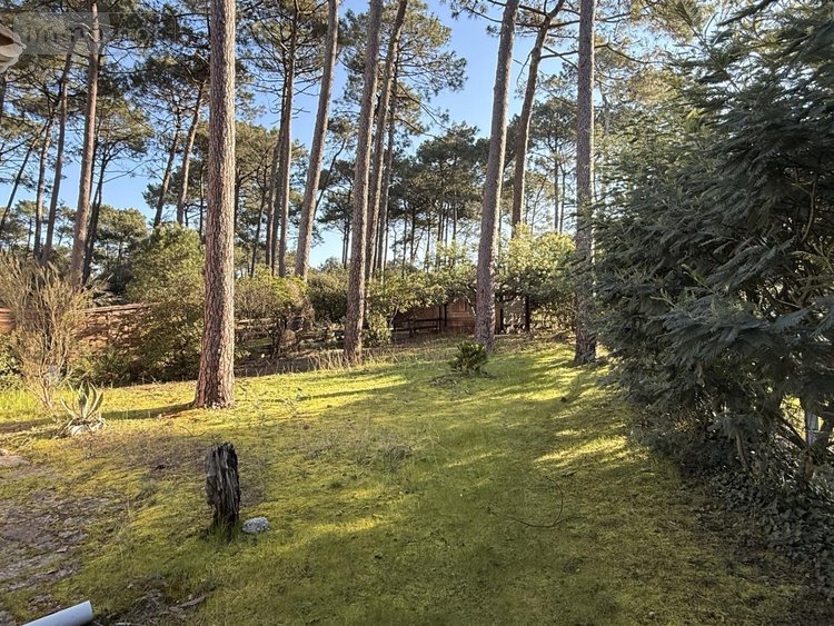 Maison a vendre Lacanau 33680 Gironde 68 m2 4 pièces 424000 euros