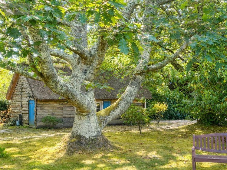 Maison a vendre Fouesnant 29170 Finistère 133 m2 6 pièces 1881000 euros