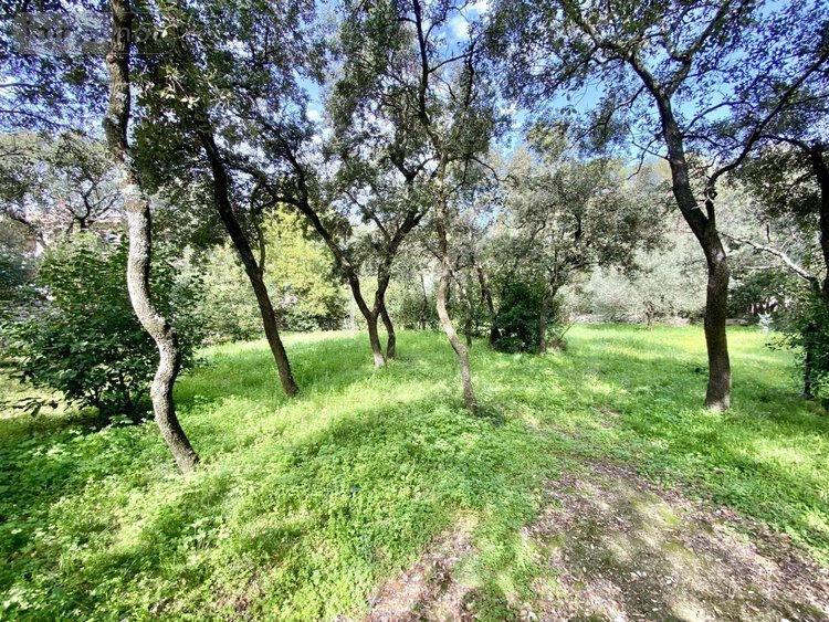 Terrain a batir a vendre Castries 34160 Hérault 800 m2  359850 euros