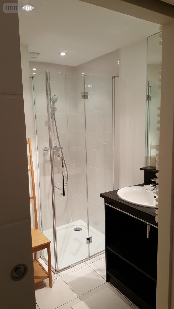 Location appartement Nantes 44000 Loire-Atlantique 36 m2 2 pièces 652 euros