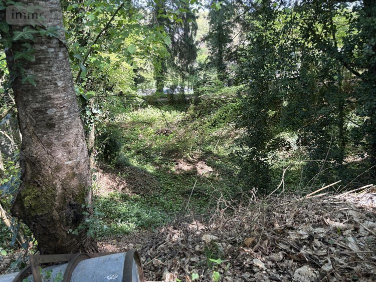 Terrain a batir a vendre Saint-Antoine-du-Rocher 37360 Indre-et-Loire 1748 m2  85600 euros