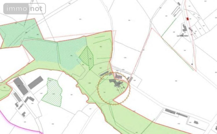 Terrains de loisirs bois etangs a vendre Beaupréau-en-Mauges 49600 Maine-et-Loire 10417 m2  63000 euros