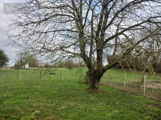 Location maison Berles-au-Bois 62123 Pas-de-Calais 123 m2  1000 euros