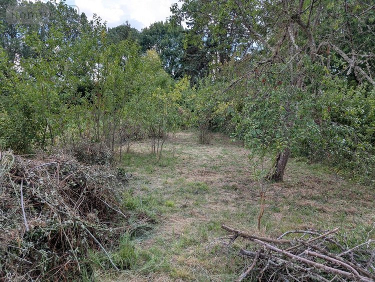 Maison a vendre Troo 41800 Loir-et-Cher 97 m2 3 pièces 64400 euros