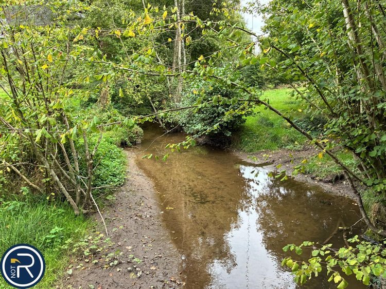 Terrains de loisirs bois etangs a vendre Montaudin 53220 Mayenne 2522 m2  13500 euros