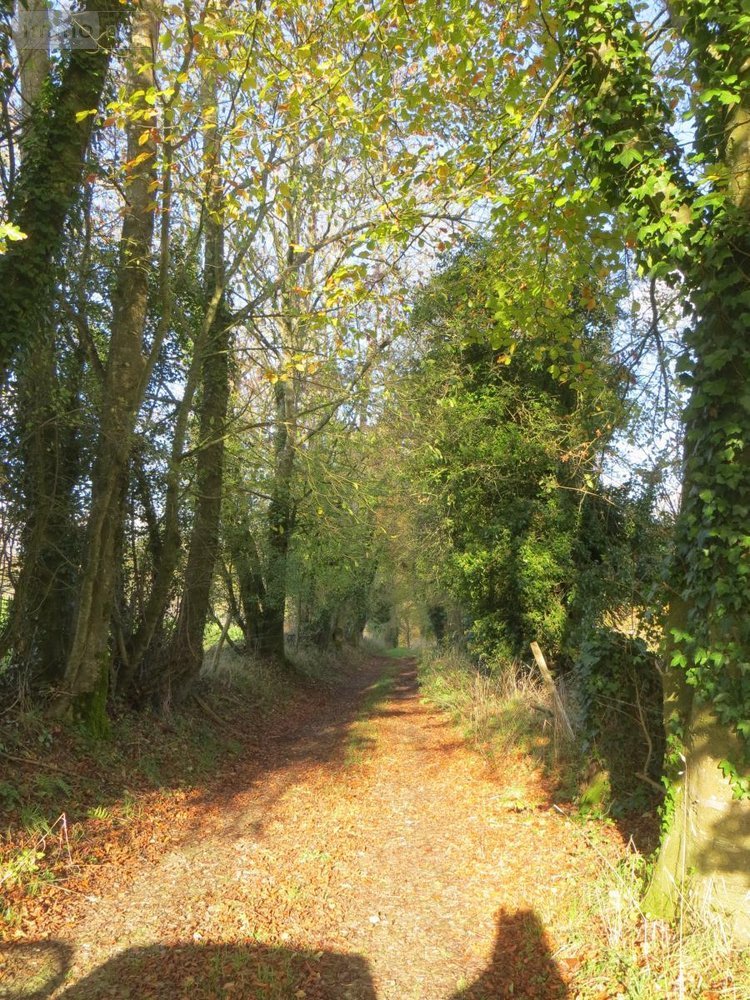 Maison a vendre Vire-Normandie 14500 Calvados 300 m2 3 pièces 189900 euros