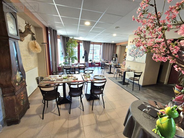 Maison a vendre Cunfin 10360 Aube 283 m2 9 pièces 239200 euros