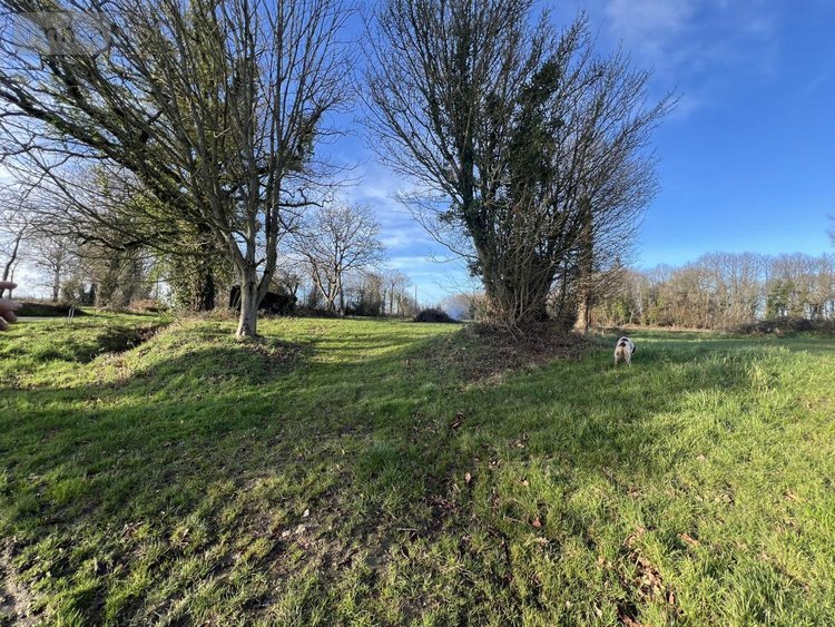 Maison a vendre Plumaudan 22350 Côtes-d'Armor 81 m2 3 pièces 125590 euros