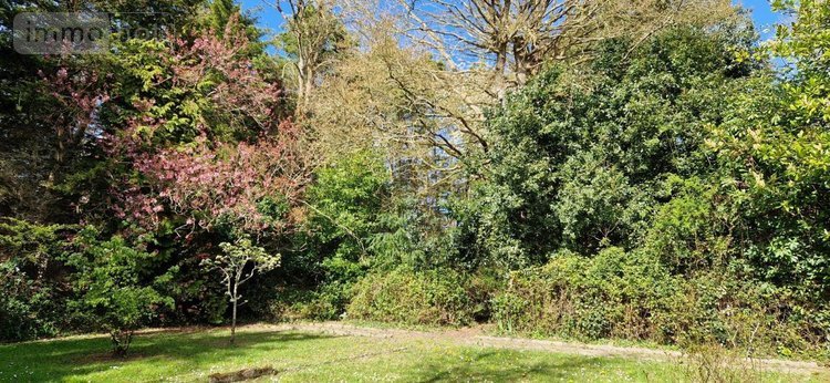 Maison a vendre Le Minihic-sur-Rance 35870 Ille-et-Vilaine 154 m2 5 pièces 598000 euros