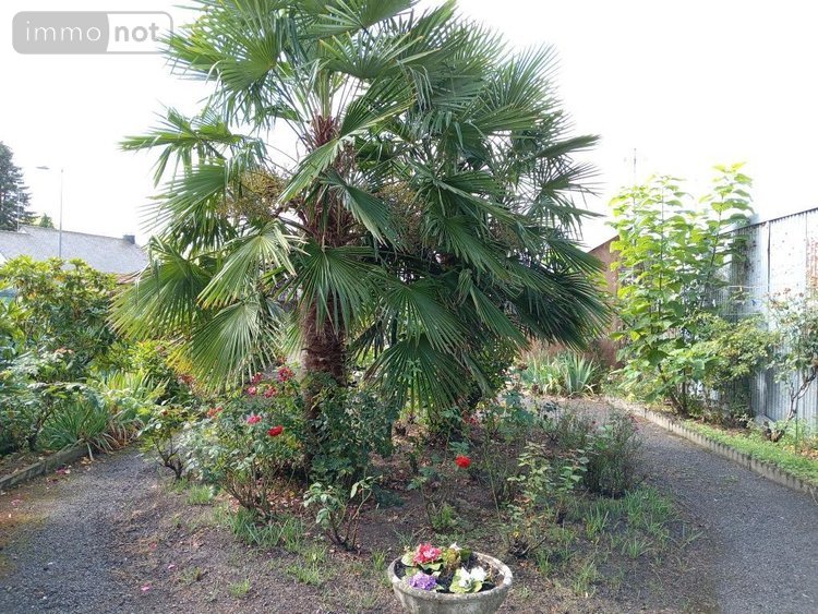 Maison a vendre Saint-Hilaire-du-Harcouët 50600 Manche 98 m2 3 pièces 126420 euros