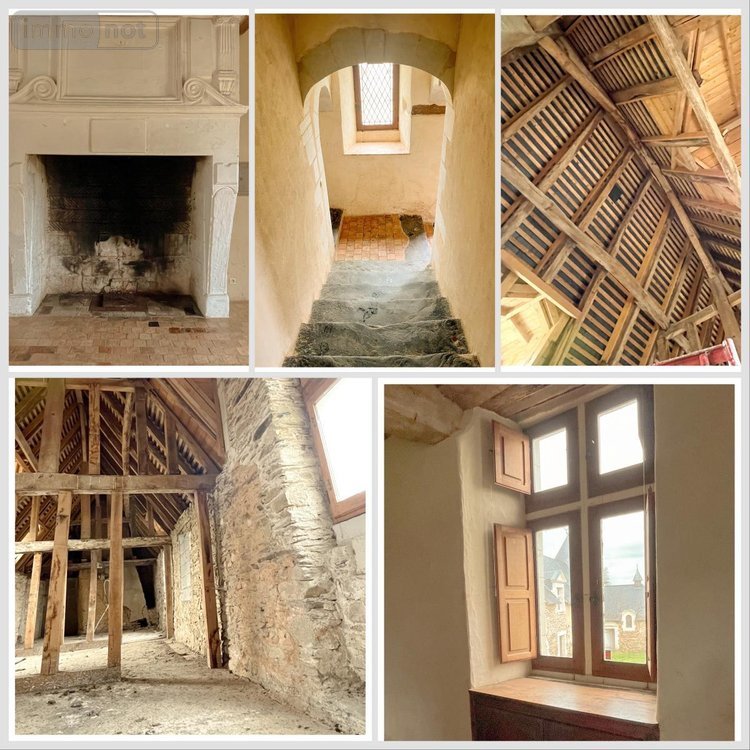 Maison a vendre Segré-en-Anjou Bleu 49500 Maine-et-Loire 363 m2 10 pièces 499520 euros