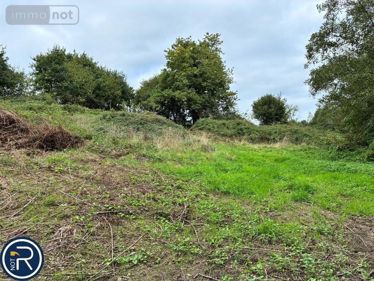 Terrains de loisirs bois etangs a vendre Montaudin 53220 Mayenne 2522 m2  13500 euros