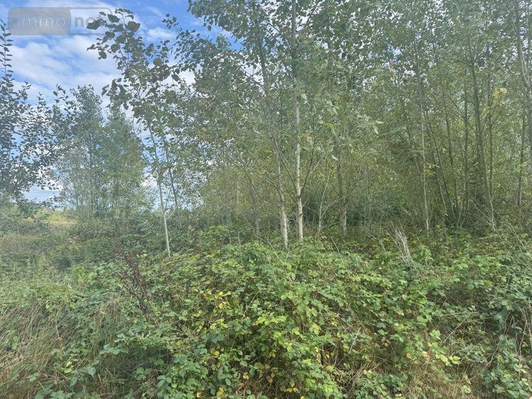 Terrains de loisirs bois etangs a vendre Prisches 59550 Nord 53030 m2  179350 euros