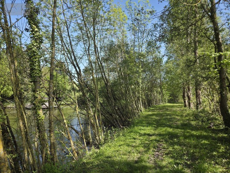 Terrains de loisirs bois etangs a vendre La Roche-Neuville 53200 Mayenne 31445 m2  95700 euros