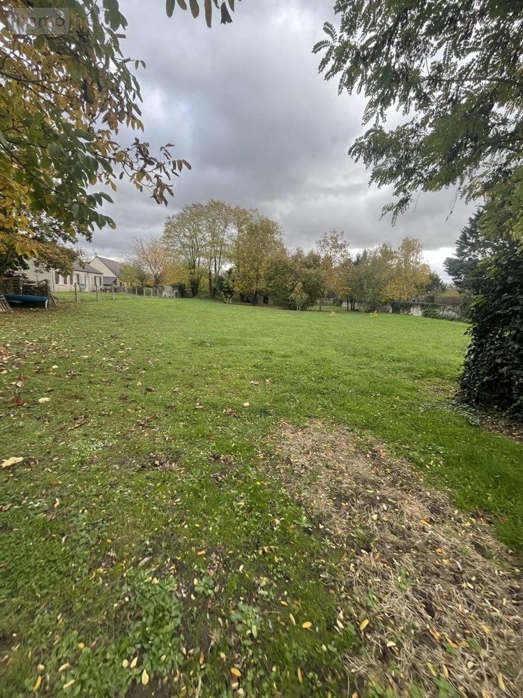 Maison a vendre Crouzilles 37220 Indre-et-Loire 88 m2 4 pièces 185500 euros