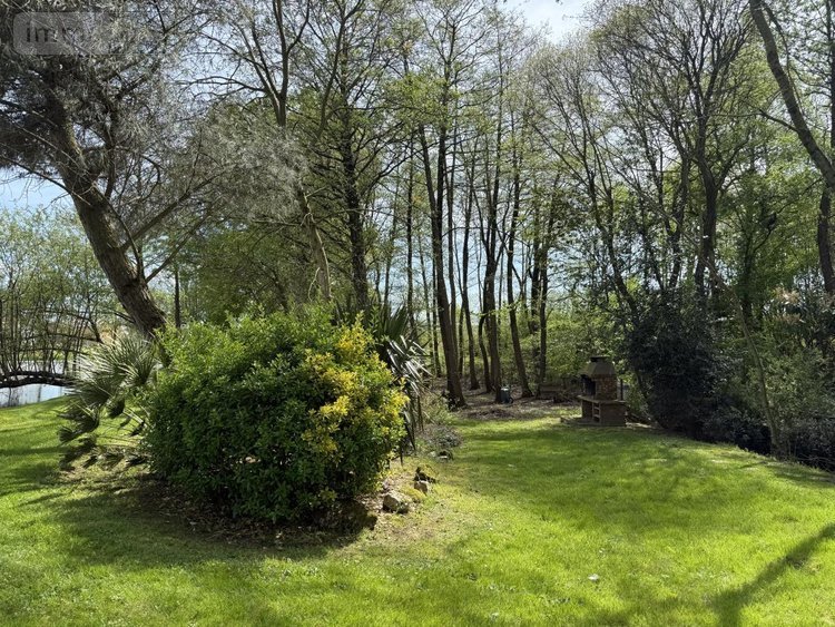 Terrains de loisirs bois etangs a vendre Beaupréau-en-Mauges 49600 Maine-et-Loire 10417 m2  63000 euros