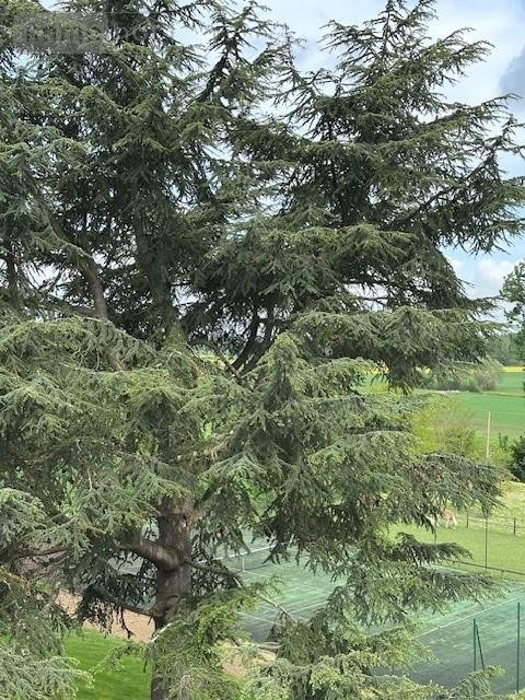 Maison a vendre Blaison-Saint-Sulpice 49320 Maine-et-Loire 400 m2 10 pièces 1388600 euros