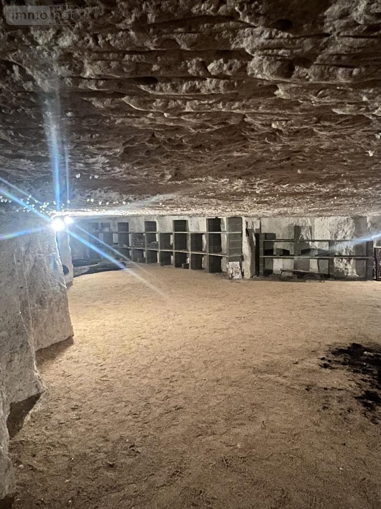 Garage et parking a vendre Naveil 41100 Loir-et-Cher 80 m2  11800 euros