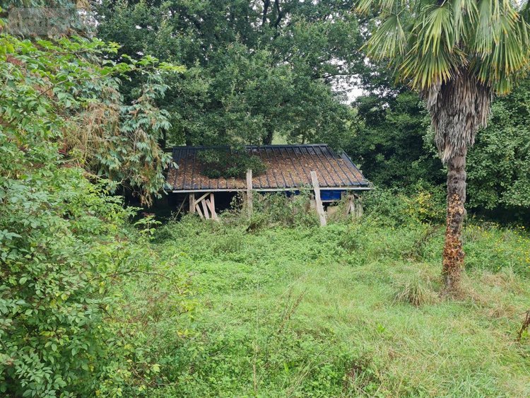 Maison a vendre Réguiny 56500 Morbihan 98 m2 4 pièces 68540 euros