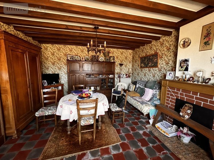 Maison a vendre Thésée 41140 Loir-et-Cher 73 m2 3 pièces 96000 euros