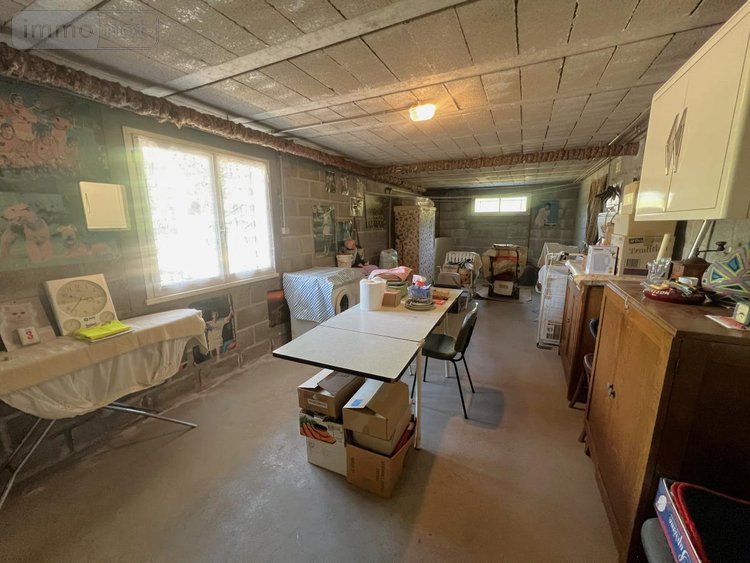 Maison a vendre Meusnes 41130 Loir-et-Cher 64 m2 3 pièces 91000 euros