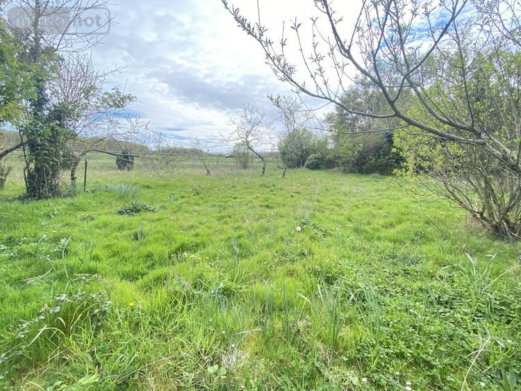 Maison a vendre La Chapelle-Saint-Sépulcre 45210 Loiret 88 m2 4 pièces 70000 euros