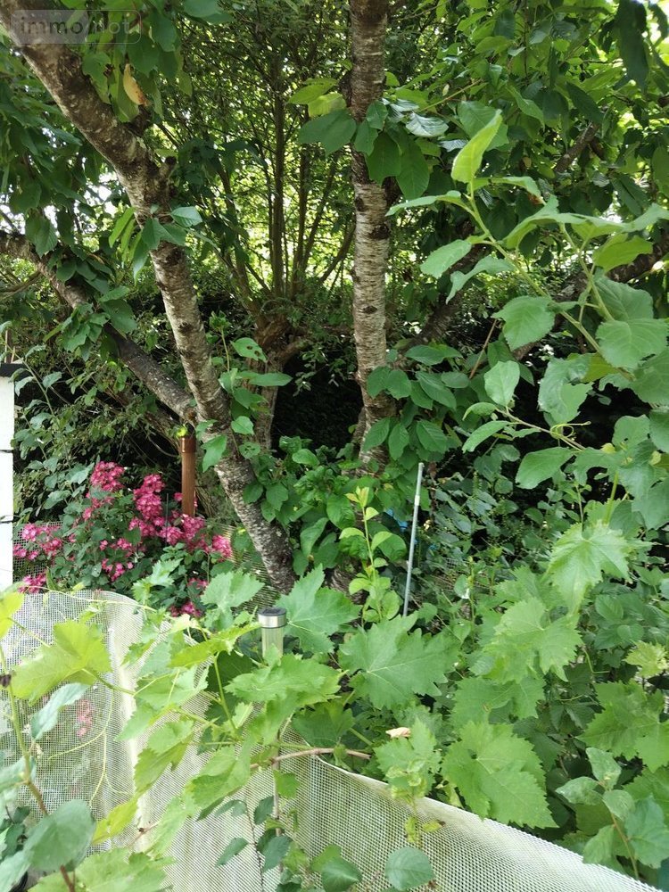 Terrains de loisirs bois etangs a vendre Neuville-sur-Sarthe 72190 Sarthe 470 m2  58300 euros