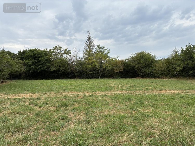 Terrains de loisirs bois etangs a vendre Brée 53150 Mayenne 8114 m2  69000 euros