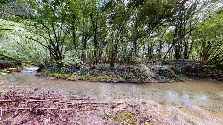 Fonds et murs commerciaux a vendre Serrières-de-Briord 01470 Ain 4187 m2  1860000 euros