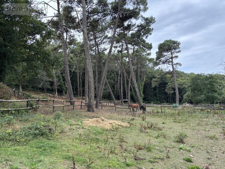 Maison a vendre Ploemeur 56270 Morbihan 230 m2 8 pièces 830240 euros