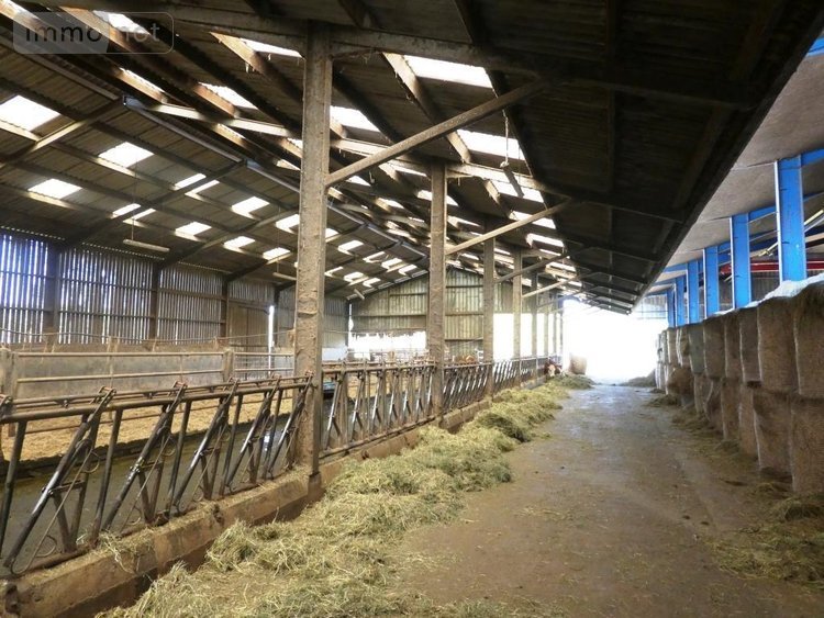 Divers a vendre Le Saint 56110 Morbihan 1 m2  335600 euros