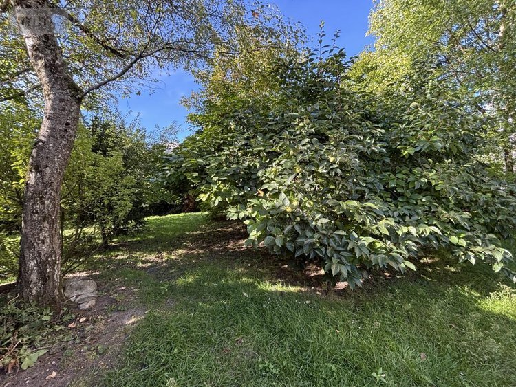 Maison a vendre Cognin 73160 Savoie 179 m2 7 pièces 470000 euros