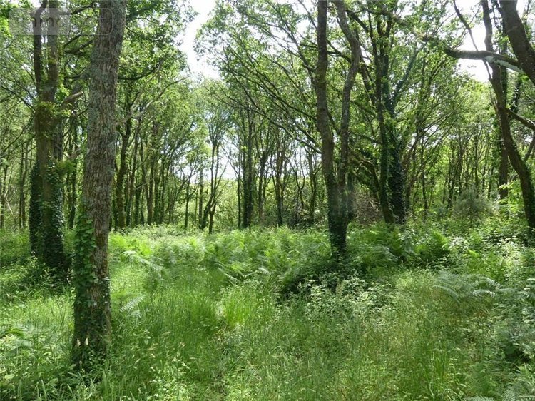 Maison a vendre Gouesnach 29950 Finistère 154 m2 7 pièces 573450 euros